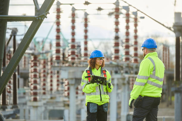 Best Electric Panel Repair  in Walnut, IL